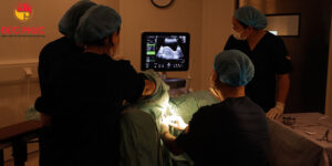 Bí kíp chuyển phôi thành công ngay trong lần đầu tiên 4