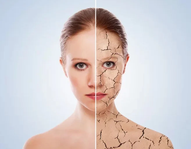 Estrogen là hormone sinh dục nữ giúp duy trì sắc đẹp, sức khỏe và sinh lý