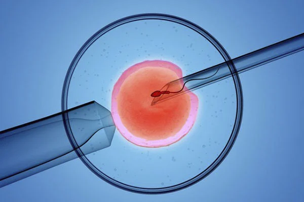 Thu tinh trong ong nghiem thanh cong cao tại Đức Phúc