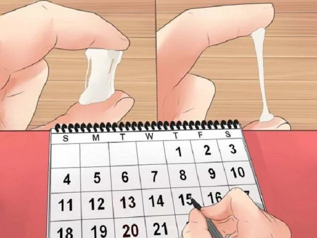 Ngực căng tức, đau vùng bụng dưới, tăng ham muốn tình dục… là dấu hiệu rụng trứng điển hình
