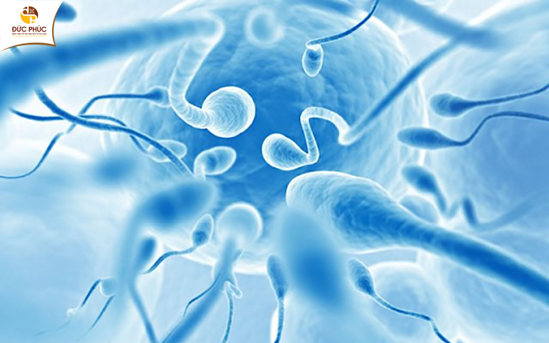 Sản xuất tinh trùng yếu cũng có thể là triệu chứng của vô sinh nam