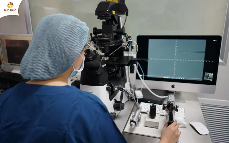 Phương pháp thụ tinh trong ống nghiệm (IVF)
