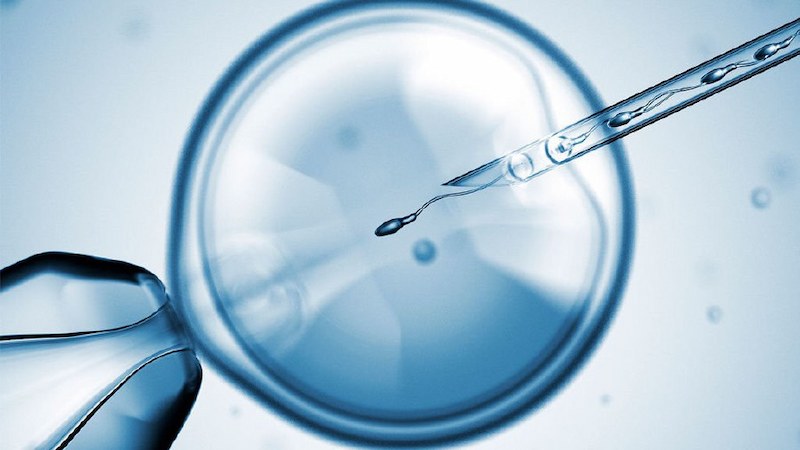 Vòi trứng bị ứ dịch có thể thực hiện IVF