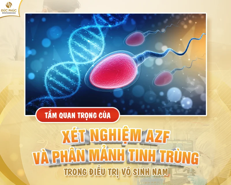 Tầm quan trọng của xét nghiệm AZF và phân mảnh DNA tinh trùng trong ...