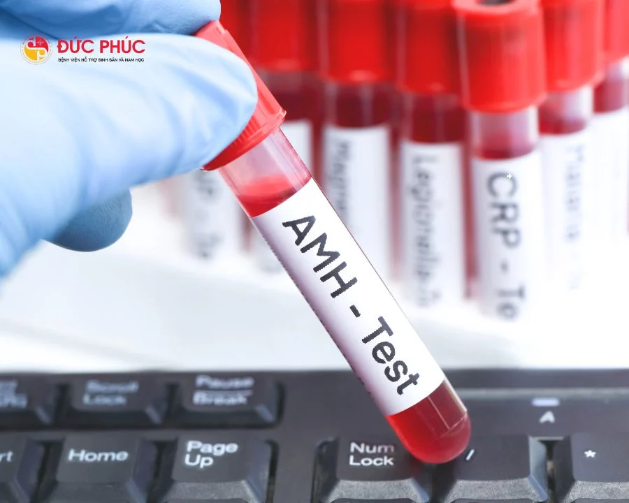AMH đóng vai trò rất quan trọng đối với khả năng sinh sản của chị em phụ nữ