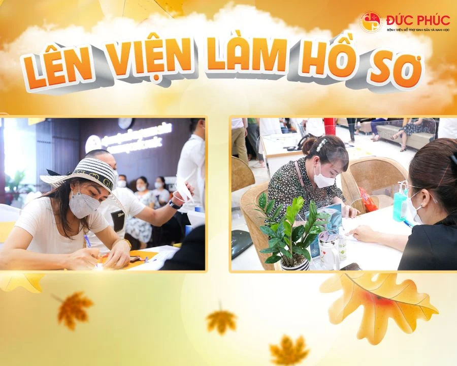Cần phải có hồ sơ trước khi thực hiện IVF theo quy định của nhà nước Việt Nam
