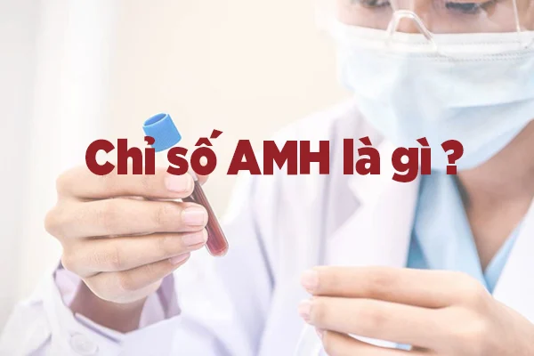 AMH còn được xem là chỉ số đánh giá dự trữ buồng trứng