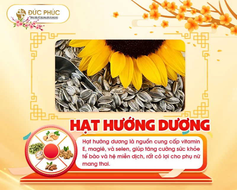 Vitamin E đặc biệt quan trọng trong việc bảo vệ tế bào sinh sản và hỗ trợ quá trình mang thai khỏe mạnh