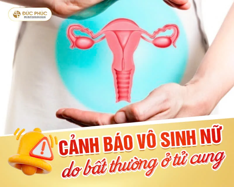 Cảnh báo vô sinh nữ do bất thường ở tử cung