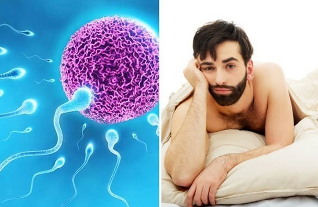 Tinh trùng dị dạng có thể ảnh hưởng nghiêm trọng đến khả năng sinh sản của nam giới