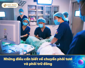 Những điều cần biết về chuyển phôi tươi và phôi trữ đông