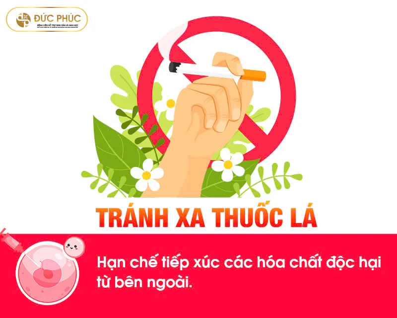 các chất hóa học trong thuốc lá có thể làm tổn hại DNA của trứng ở phụ nữ