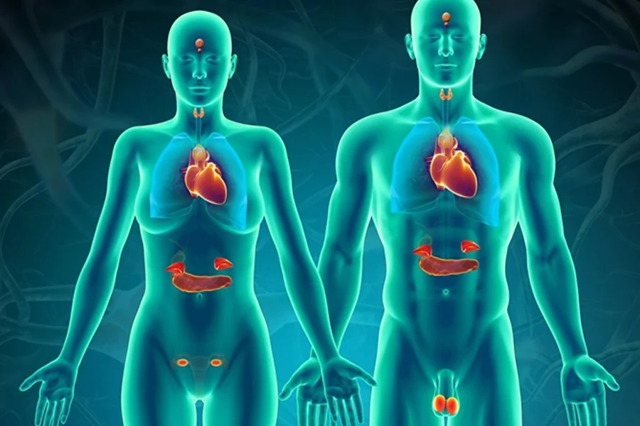 Không có tinh trùng không do tắc nghẽn thường liên quan đến các vấn đề di truyền hoặc rối loạn nội tiết