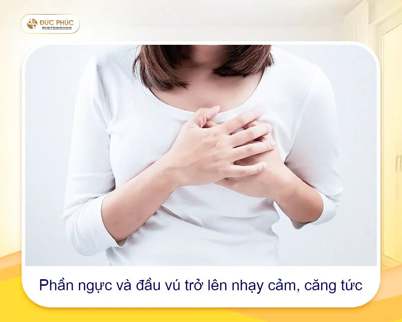 Sự thay đổi ở vùng ngực là một dấu hiệu đáng chú ý sau chuyển phôi IVF