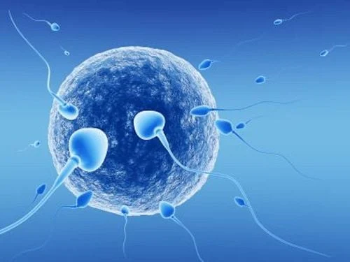 phương pháp IVF có một số lợi thế vượt trội mà thụ thai tự nhiên không thể có