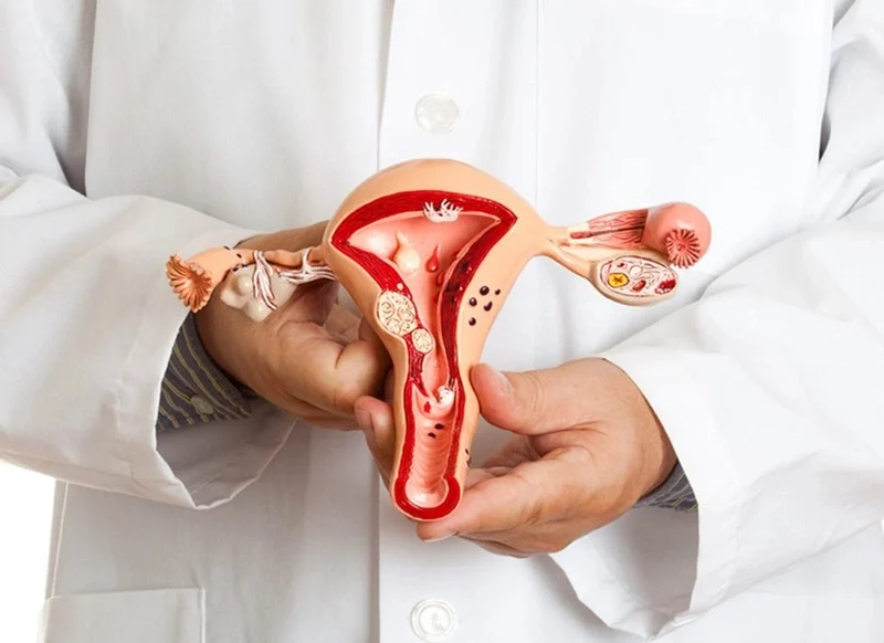 buồng trứng thường cần từ 7 đến 14 ngày để trở lại trạng thái bình thường