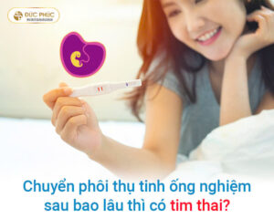 Chuyển phôi thụ tinh ống nghiệm sau bao lâu thì có tim thai?