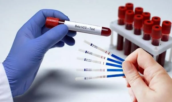 Beta hCG là một loại hormone do bánh nhau tiết ra ngay từ giai đoạn đầu của thai kỳ