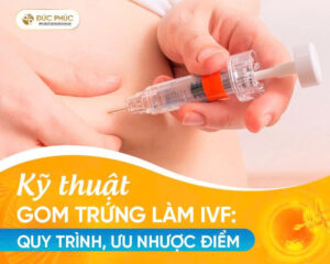Kỹ thuật gom trứng làm IVF: Quy trình, ưu nhược điểm