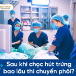 Sau khi chọc hút trứng bao lâu thì chuyển phôi?