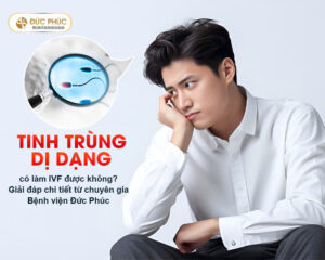 Tinh trùng dị dạng có làm IVF được không? Giải đáp chi tiết từ chuyên gia Bệnh viện Đức Phúc