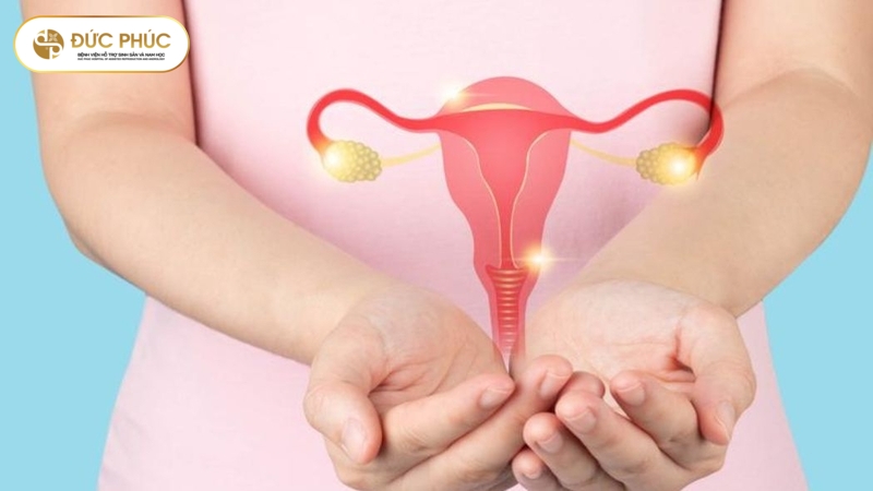 Quy trình chụp HSG diễn ra như thế nào?