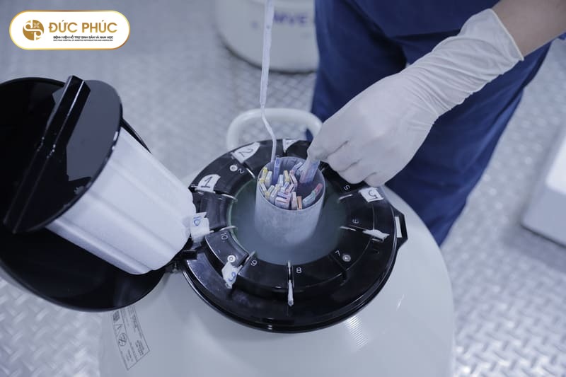 Hình thức chuyển phôi đông lạnh