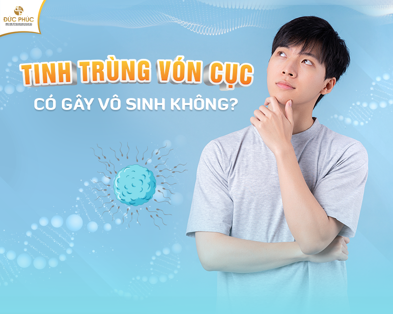 tinh-trung-von-cuc-1