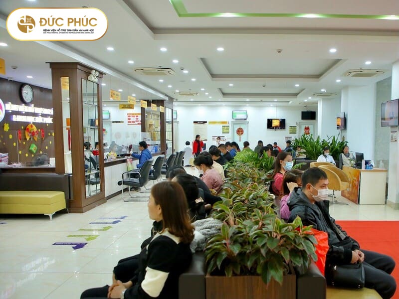 Hàng nghìn em bé chào đời nhờ IVF thành công tại Bệnh viện Đức Phúc
