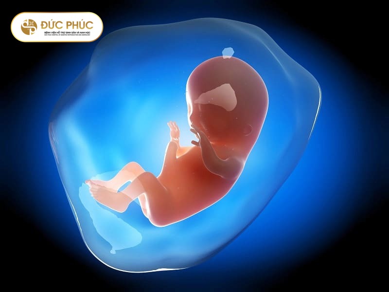Tại sao 3 tháng đầu IVF lại quan trọng?