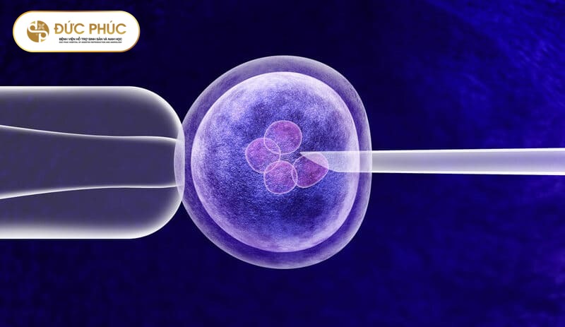 Tỷ lệ thai ngoài tử cung trong IVF là bao nhiêu?