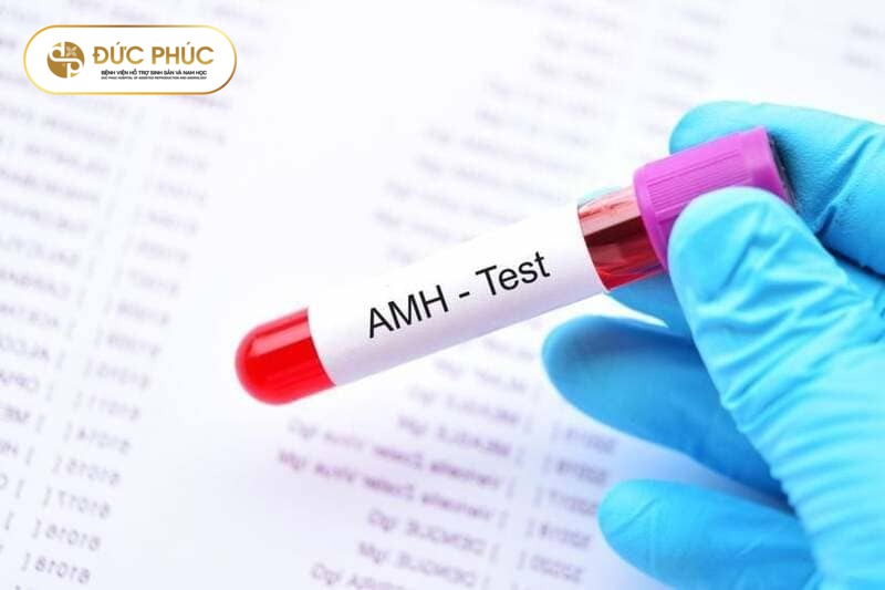 AMH có vai trò gì trong thụ tinh ống nghiệm IVF?