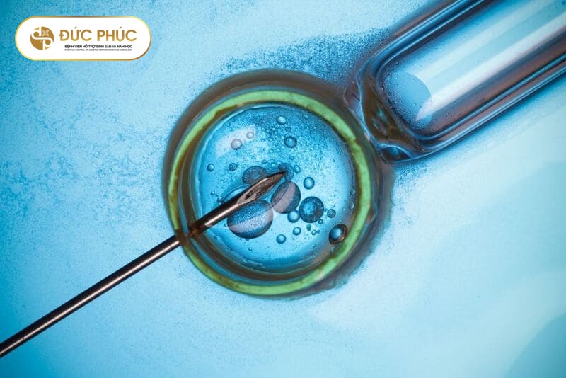 Phụ nữ có làm IVF khi AMH thấp được không?