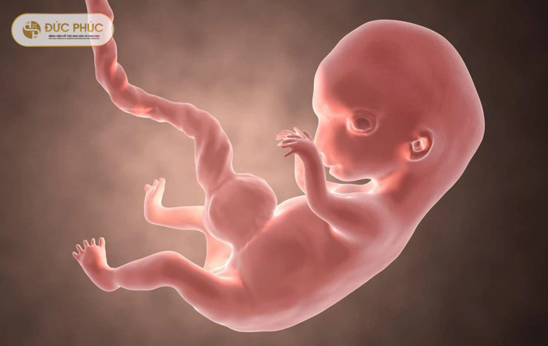 Bị thai sinh hóa IVF phải làm gì?