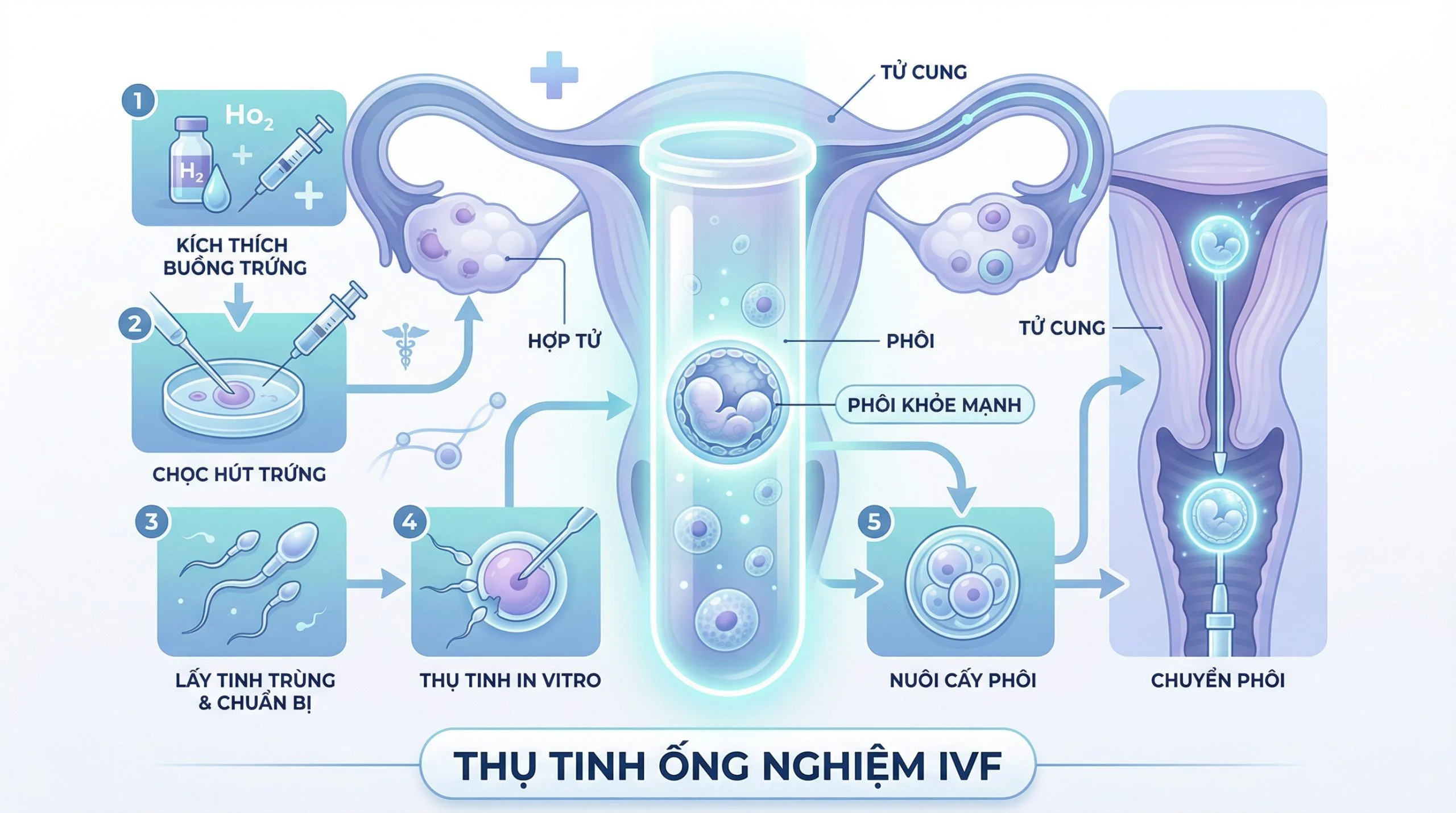 Quy-trinh-lam-IVF-tai-Benh-vien-Nam-hoc-Duc-Phuc-bao-gom-nhung-buoc-nao