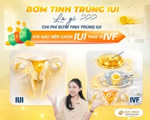 bom-tinh-trung-iui-la-gi--chi-phi-bom-tinh-trung-iui--va-khi-nao-nen-chon-iui-thay-vi-ivf
